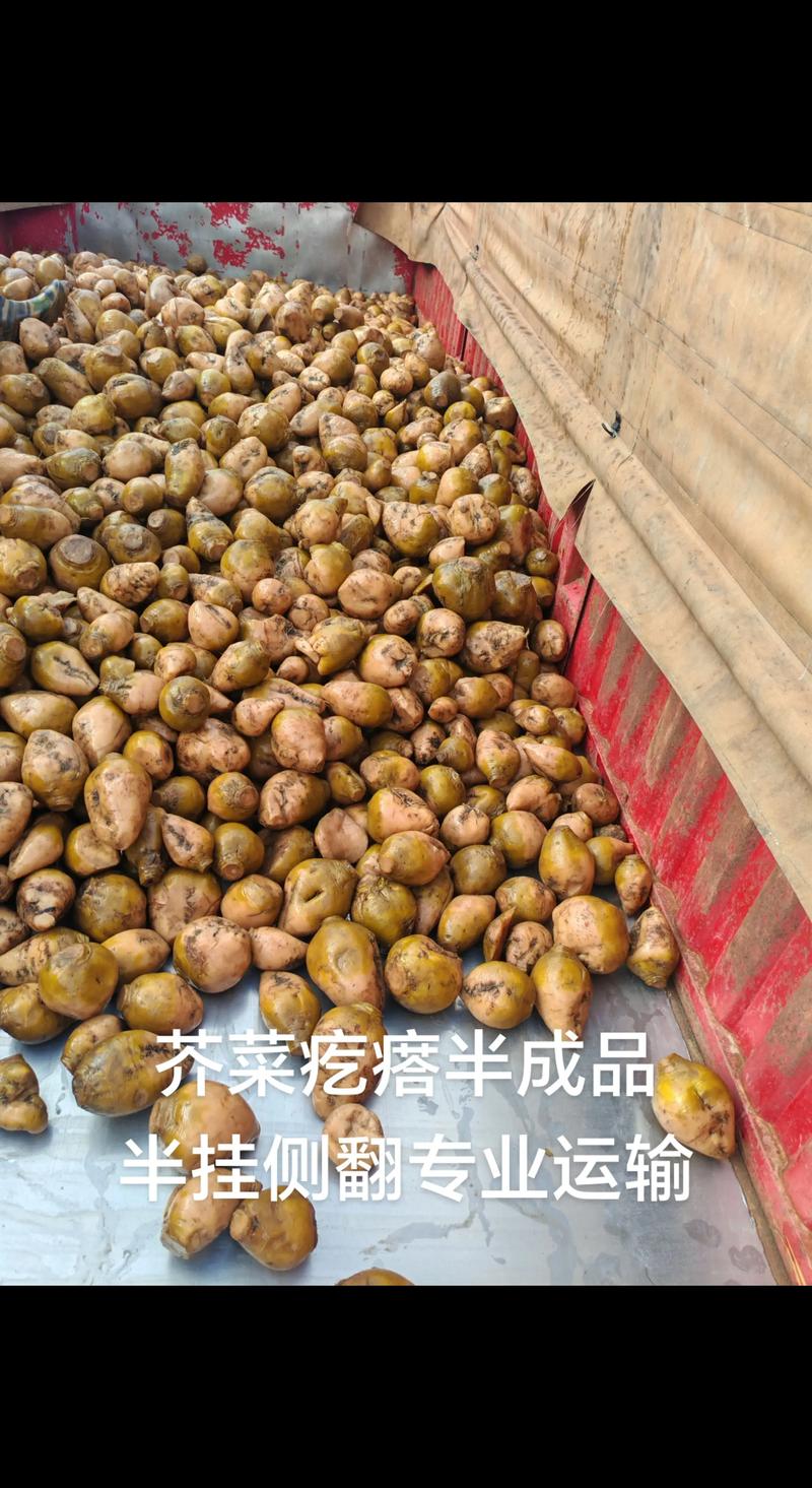 广州网上超市:零售业的新篇章